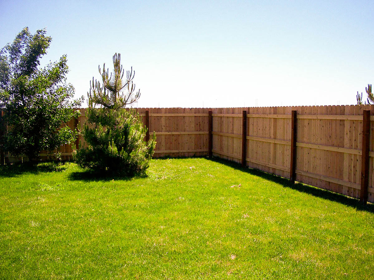 5/8" x 5-1/2" x 6' Japanese Cedar/Sugi Dog-Eared Picket for Wood Fences