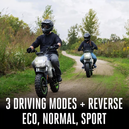 EGO Power+ Unisex Mini Bike KIT (BATTERIES & CHARGER INCLUDED)